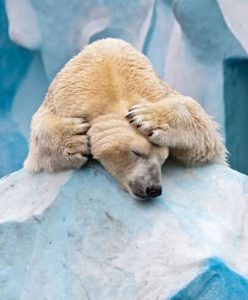 貧血,脳貧血,チカチカ,心因性めまい,対処法,起立性低血圧