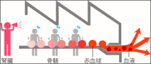 貧血,むくみ,眠気,脳の酸欠,鉄分不足