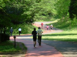 貧血,スポーツ貧血,運動,赤血球,関係