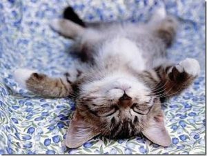 貧血,吐き気,眠気,症状,対処法,見極め