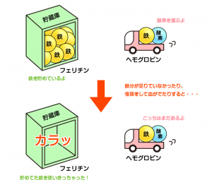 貧血,症状,チェックポイント,目,鉄欠乏性貧血