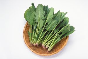 低血圧,対策,食べ物,改善,栄養