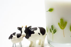 子供、貧血、食べ物、牛乳