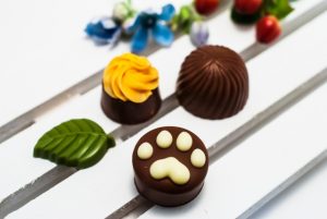 貧血 空腹 めまい