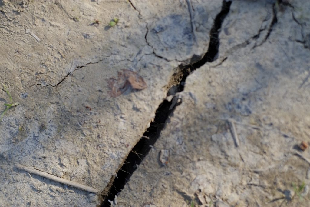 めまい,一瞬,地震,意識