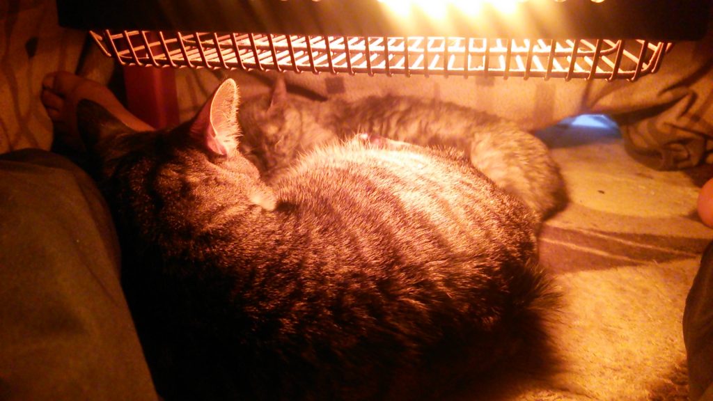 やけど 水ぶくれ