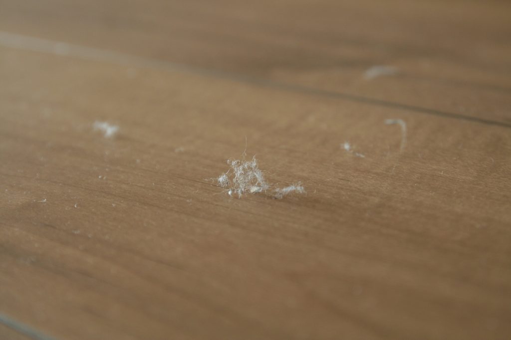 ハウスダスト　アレルギー 症状