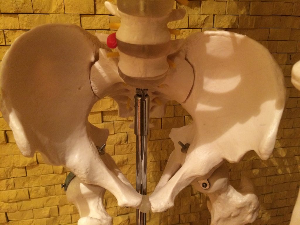 おしりの骨が痛い