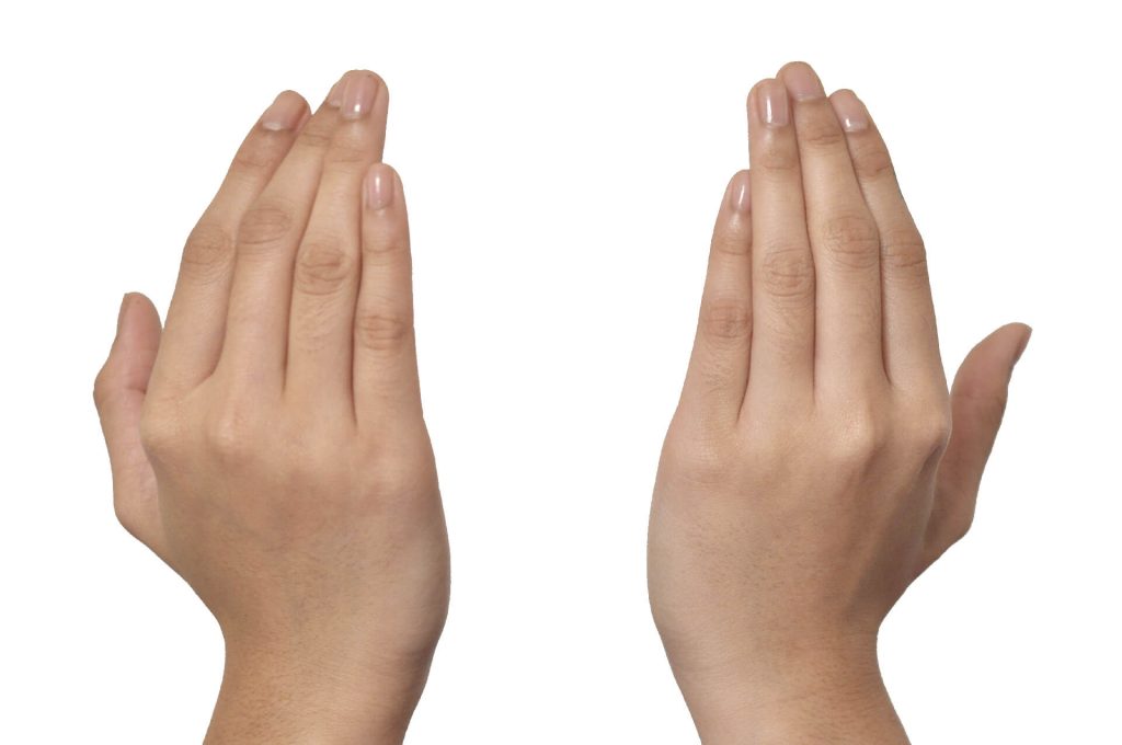 爪 白い部分ない